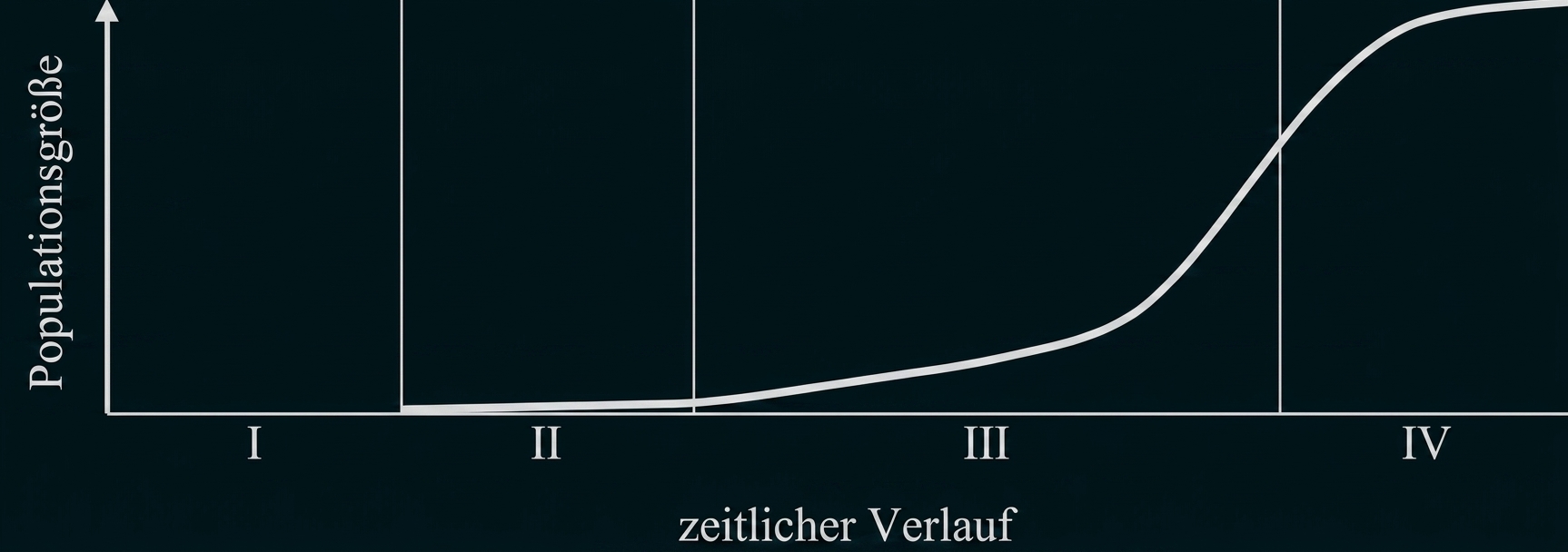 Diagramm: Populationsgröße über Zeit mit Phasen I–IV; flach in I–II, leichter Anstieg in III, starker Anstieg und Plateau in IV.